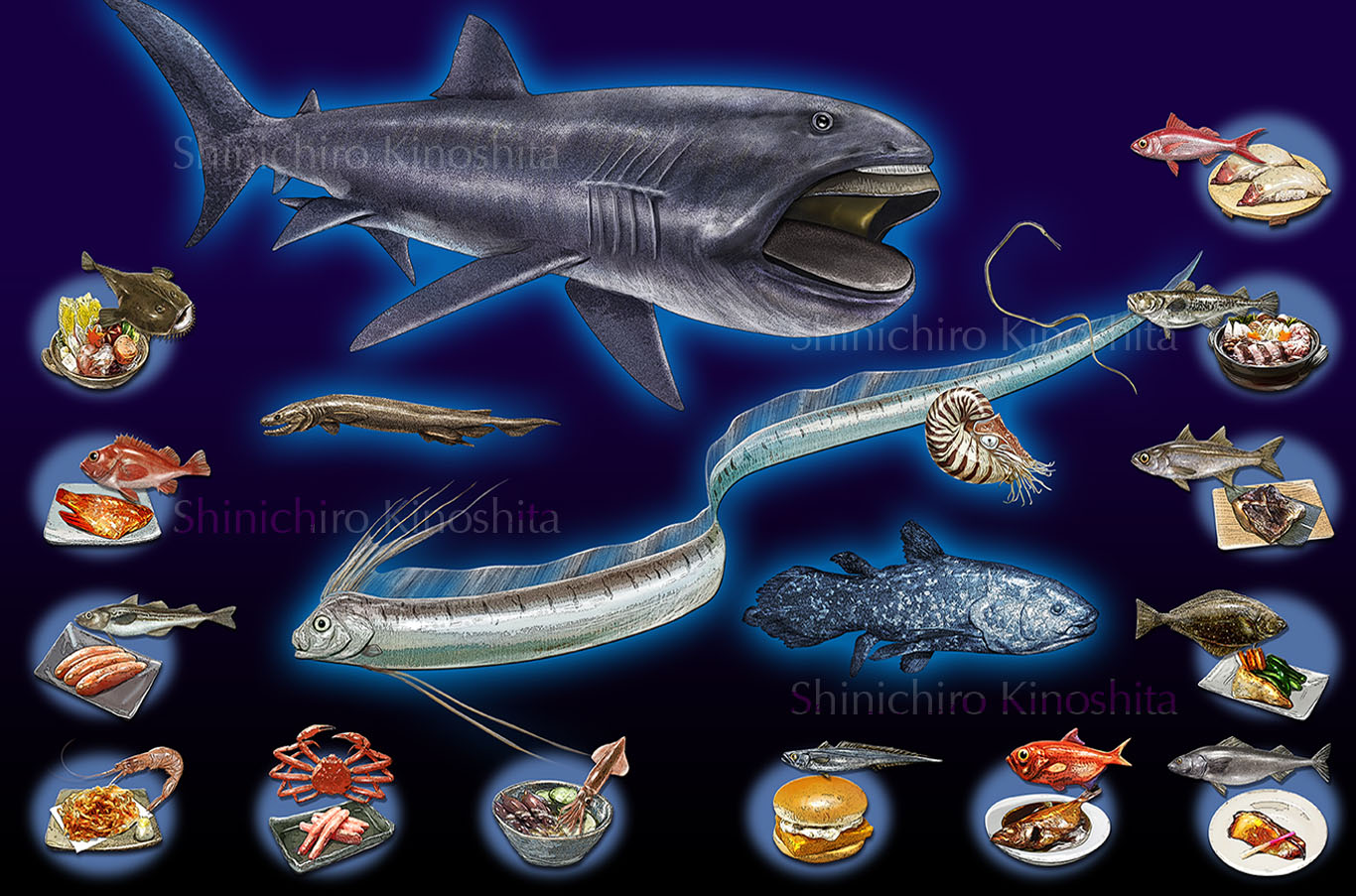 深海魚を使った身近な食品ー「海中大探検」（岩崎書店）